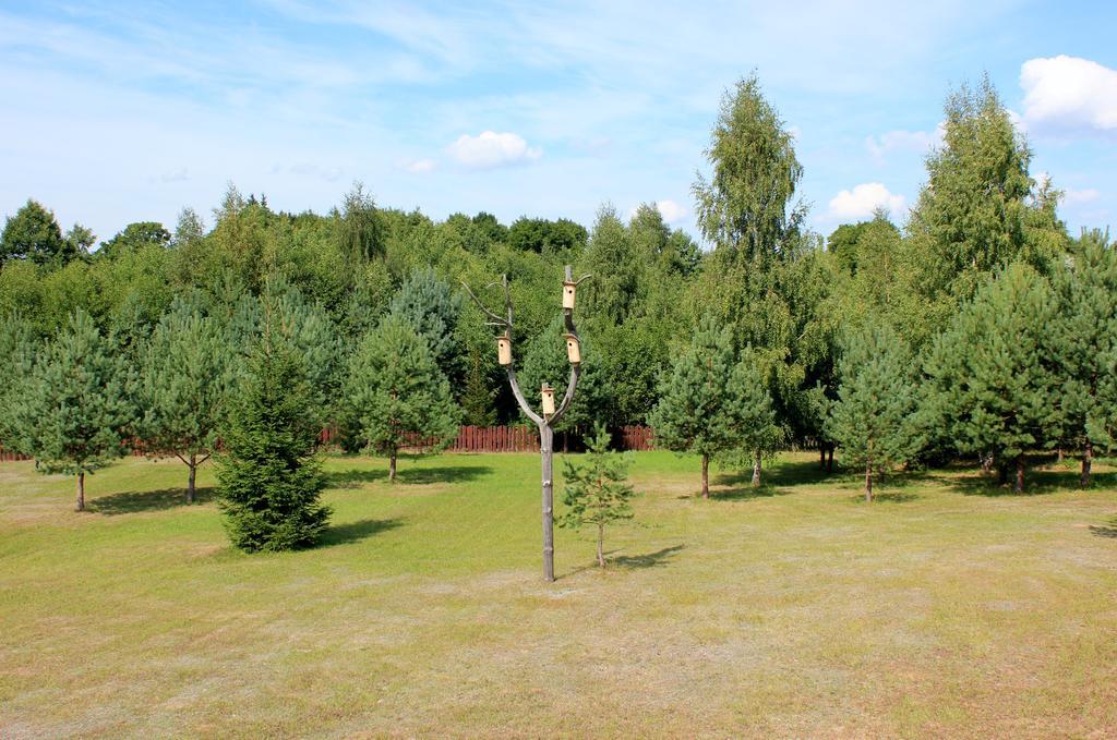 Ramybes Uostas Pension Svedriske Buitenkant foto